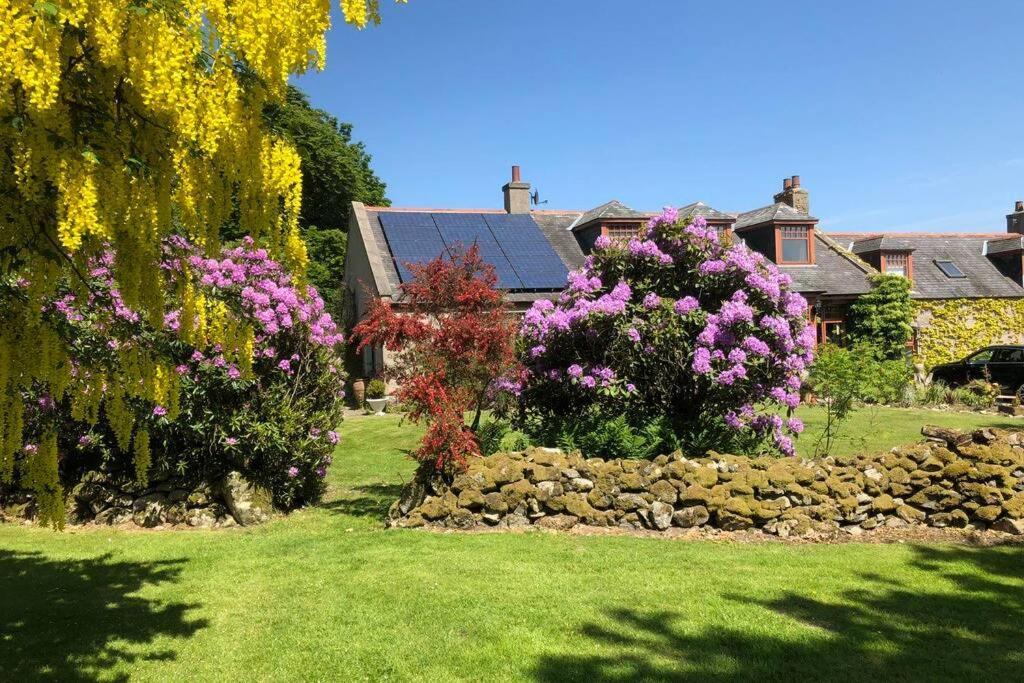 Serene Countryside Home With Manicured Gardens ستونهافين المظهر الخارجي الصورة