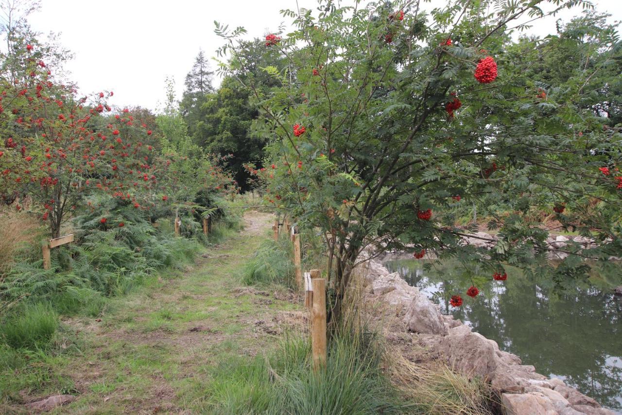 Serene Countryside Home With Manicured Gardens ستونهافين المظهر الخارجي الصورة